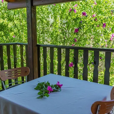 Astonishing With Private Pool Surrounded By Nature In *